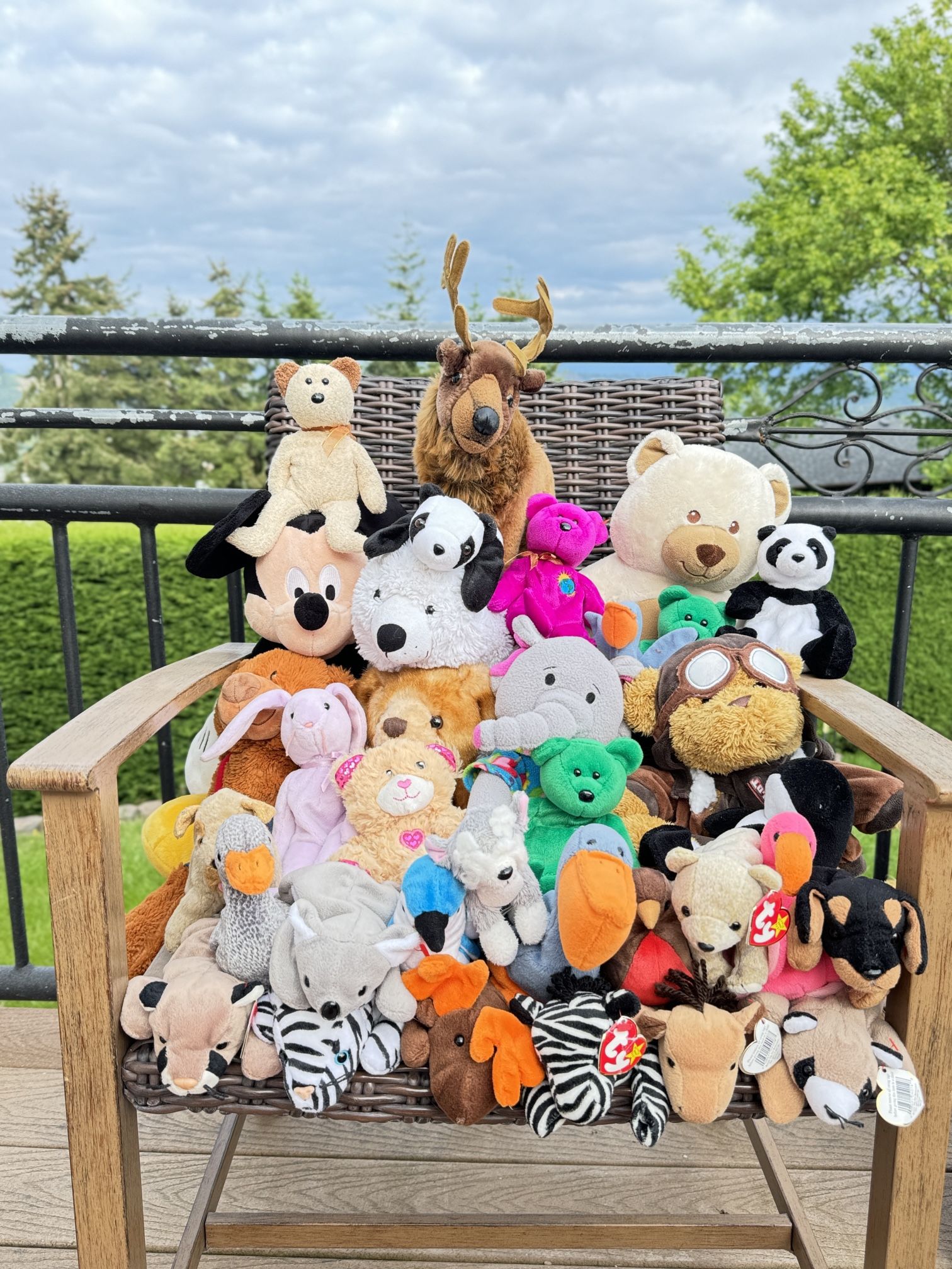 STUFFED TOYS!
