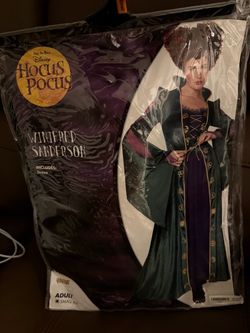 New! Hocus Pocus Winifred Costume