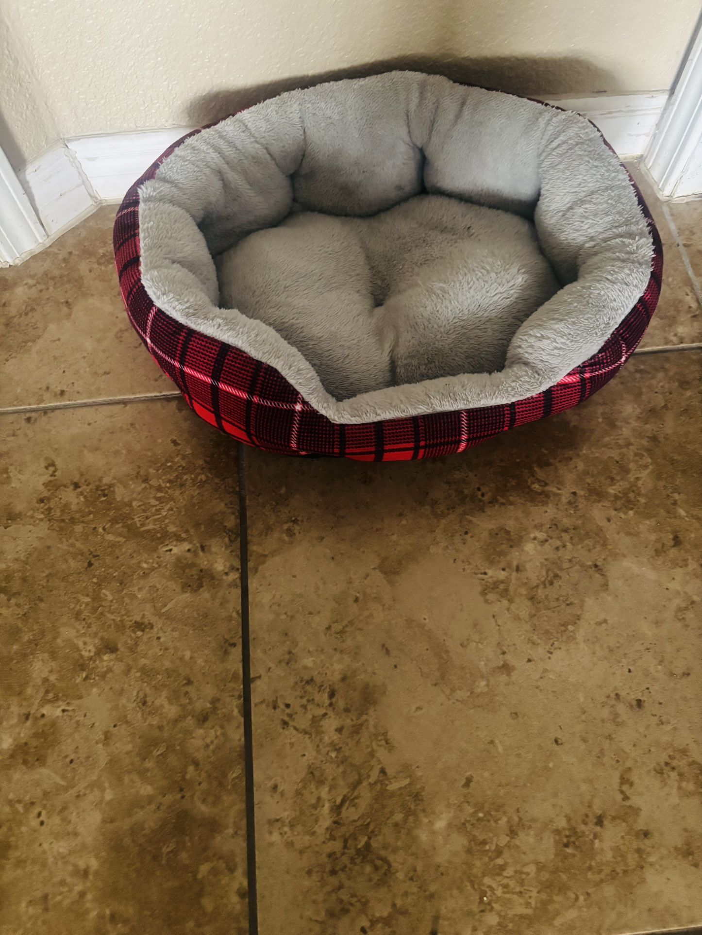 Dog Bed Used