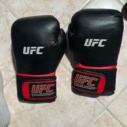UFC Gloves 