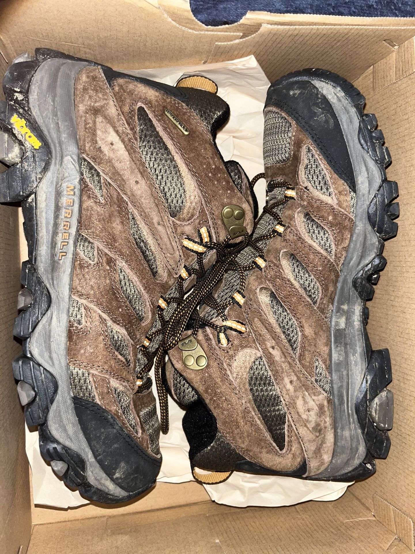 Hiking Shoes