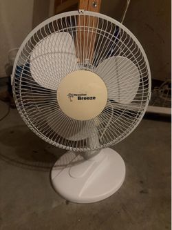 Fan