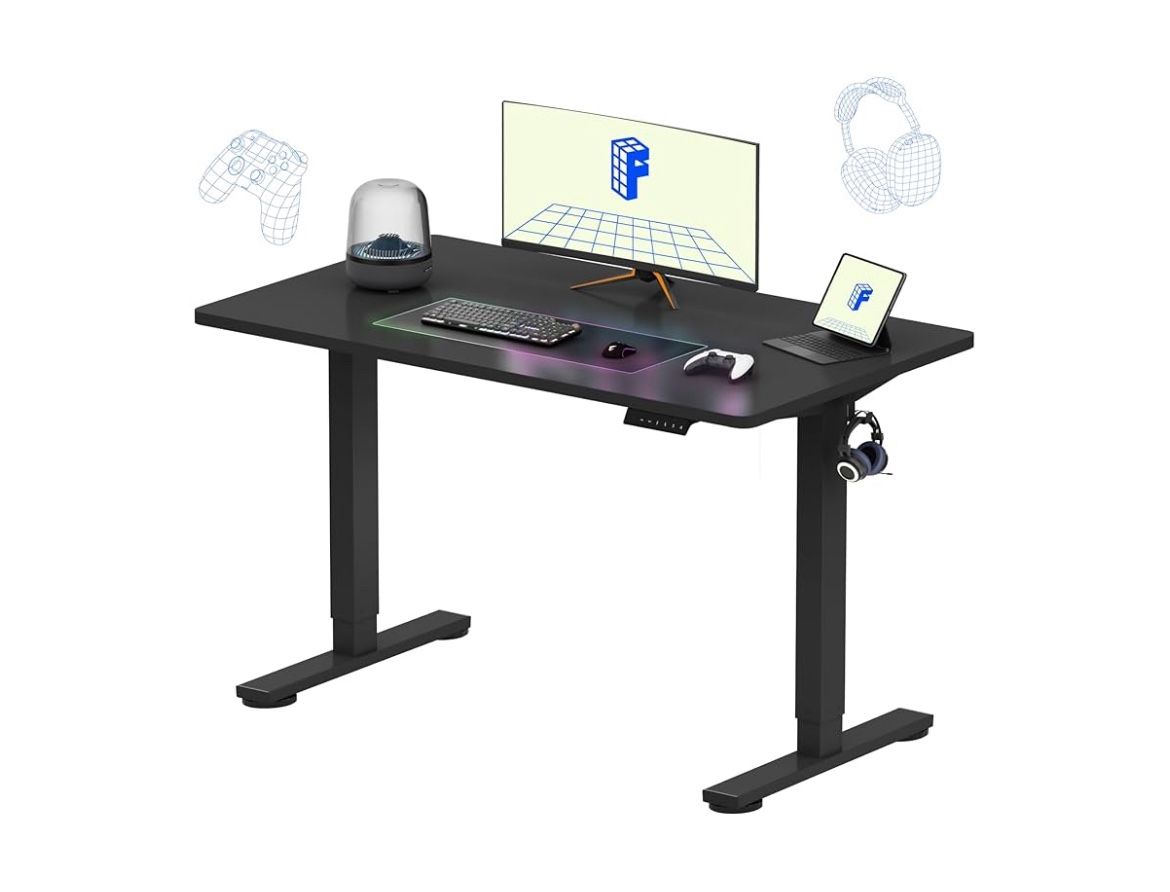 Flexspot Electric Height Adjustable Standing Desk EC1-48" W X30” H black