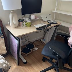 NEED GONE: White And Light Wood Electric Sit / Standing Desk
