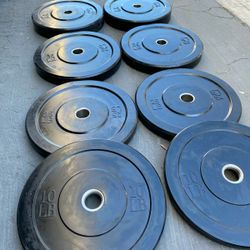NEW Bumper Plates, Rubber Olympic Weights, Home Gym Weight Set, Folding Squat Rack, Adjustable FID Bench Press, Stall Mats, Rubber Flooring 
