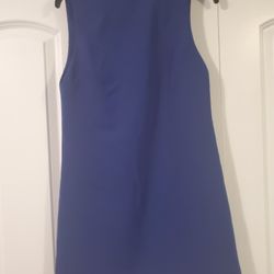 Alice + Olivia blue dress
