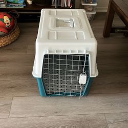 Xl Kennel New Dogs