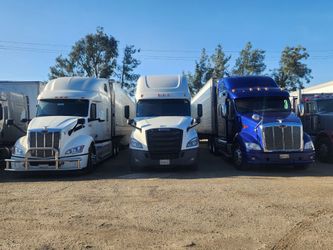 Cascadia 10 spend driver cdl