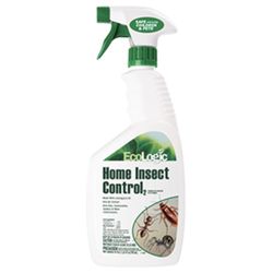 insects control RTU 24 oz