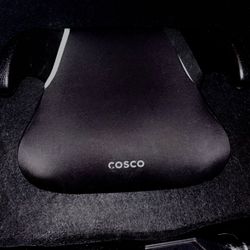 Cosco Booster Car Seat 