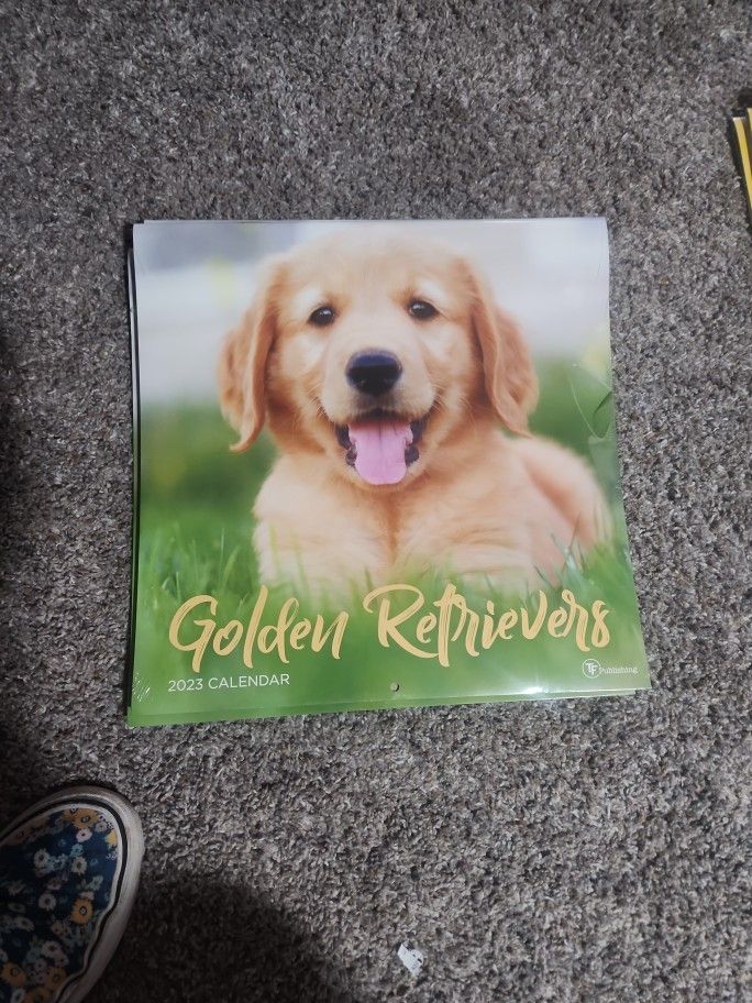 Golden Retriever 2023 Wall Calander