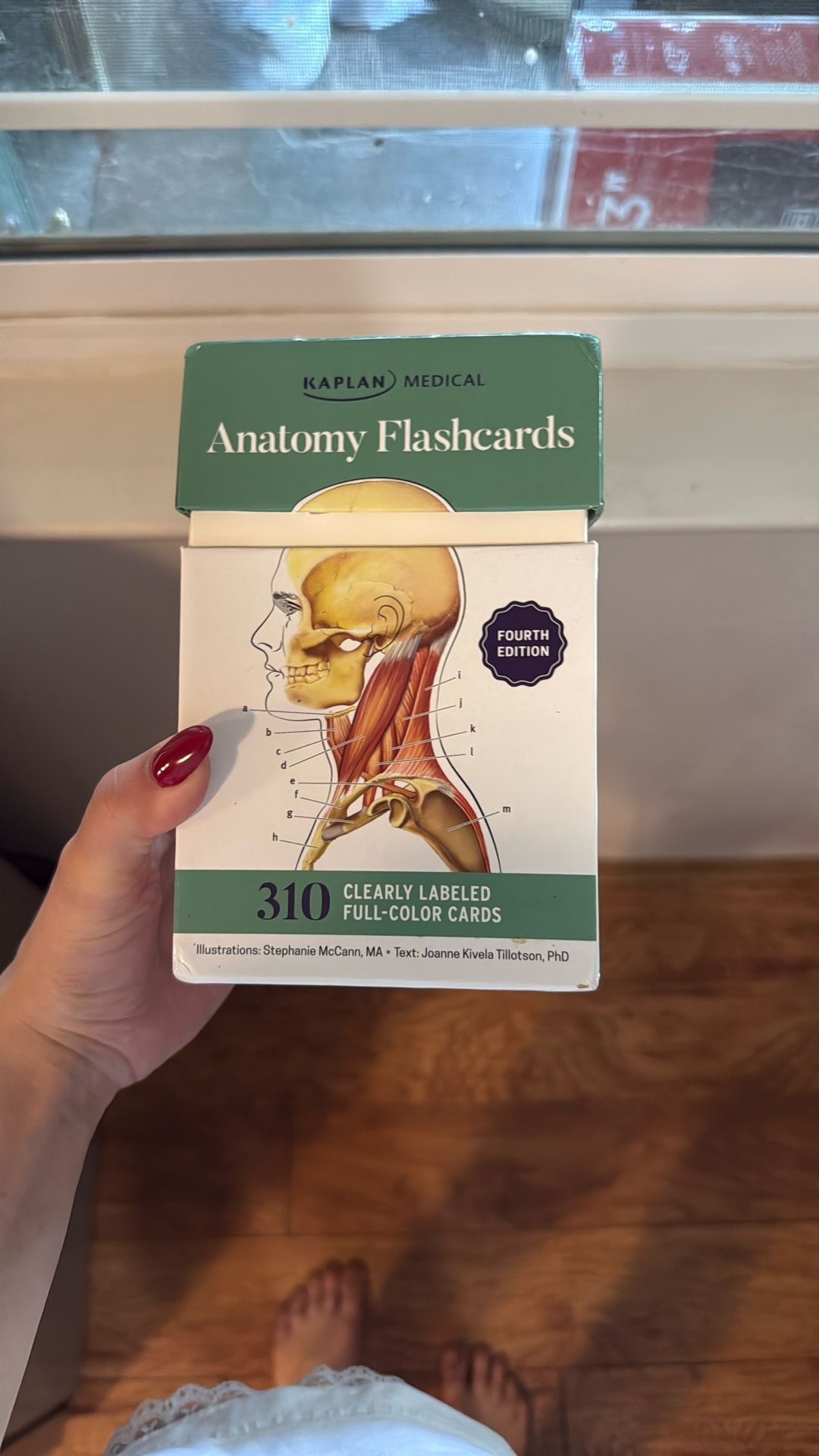 Human Anatomy Flashcards