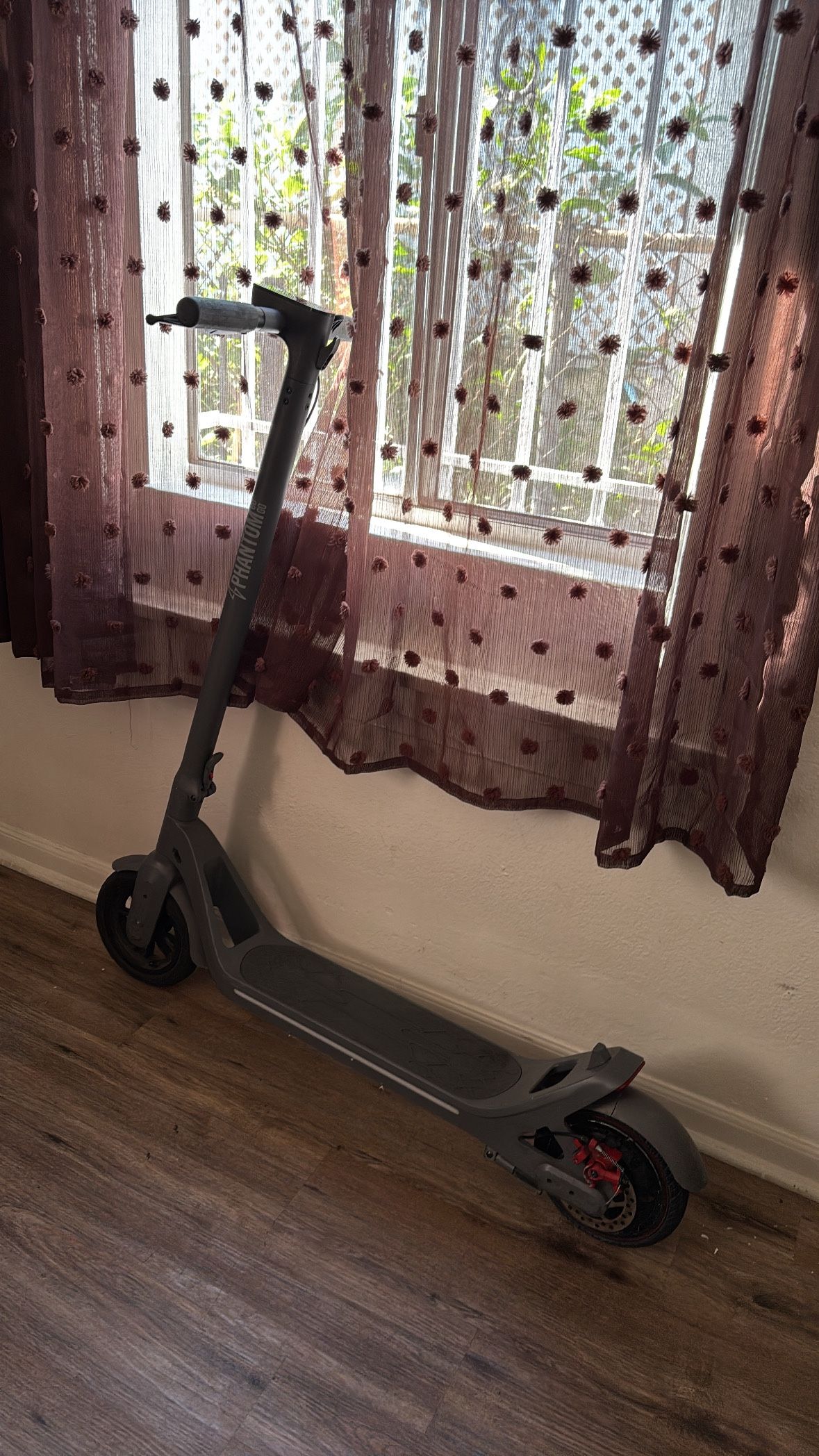 electric Scooter (Read Bio)