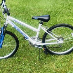Road Master 24 inches  Great  Shape  Good  Brakes And Tires 