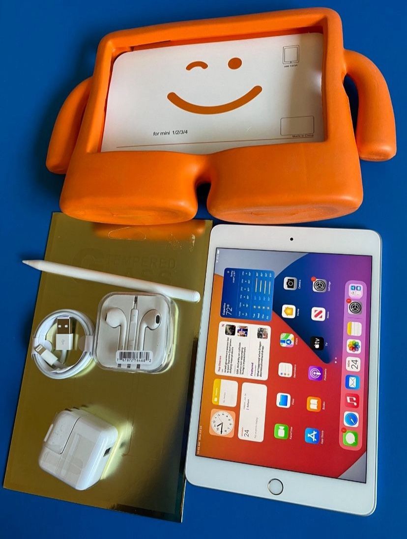 Apple iPad mini 5 (5th Generation/7.9” retina/IOS 18 updated ) 64GB with pen, kids case & Accessories (256GB $329)