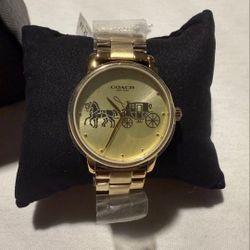 New & Authentic 100%  COACH Watch 
