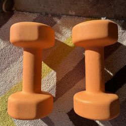 15 lb Dumbbells 