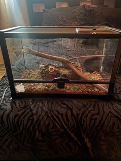 Reptile Tank