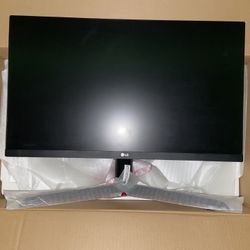 LG Monitor 