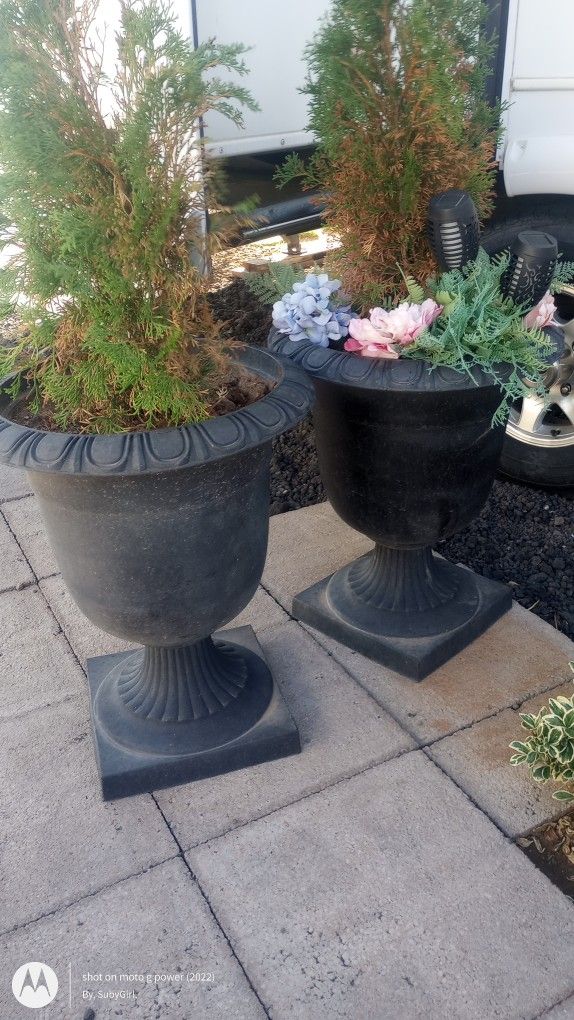 Flower Pot