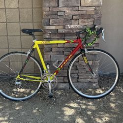 Fuji Team Issue.  Road Bike 