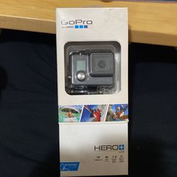 GoPro Hero + LCD Screen 