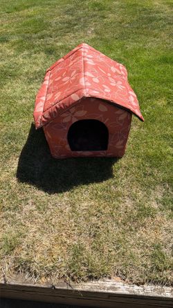 Cat House