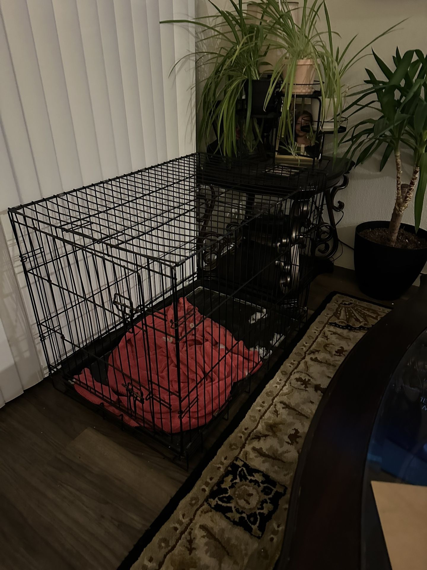 Dog Crate