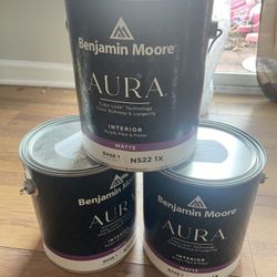 3 Gallons Benjamín Moore Aura 