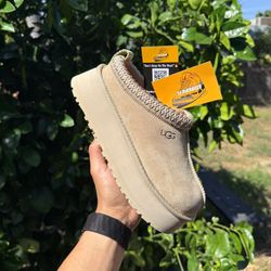 UGG Tazz Slipper ‘Mustard Seed’ Women / Men Sizes Sneakers / Shoes