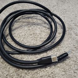 10 Foot DisplayPort 1.4