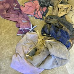 7 Horse Blankets