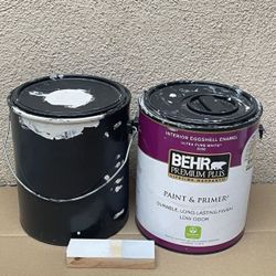 Paint W/ Primer