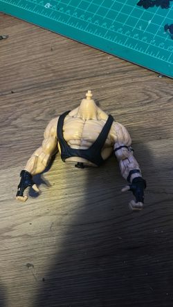 Bane torso