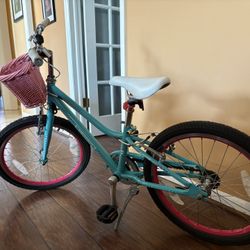 Guardian ETHOS 20” Bike with SureStop Brakes