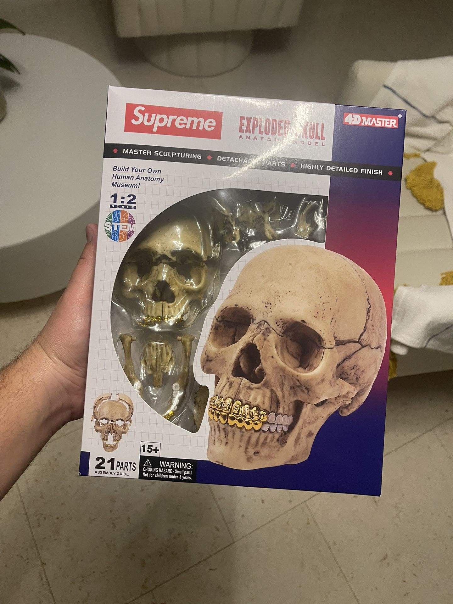 Supreme 4D Human Skull