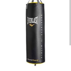 Everlast Heavy Bag 80lbs Punching Bag