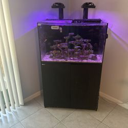 Red Sea Max 250-E Class