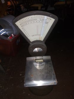Scale