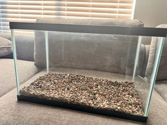 Small Glass Fish Tank with Gravel