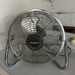 Fans 