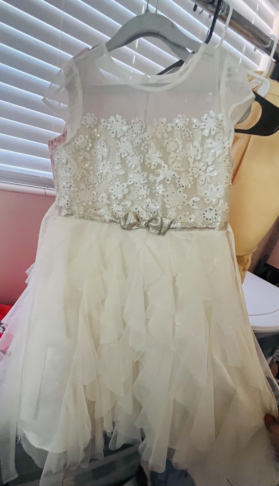 Ivory And Silver Girl Dress Size 10