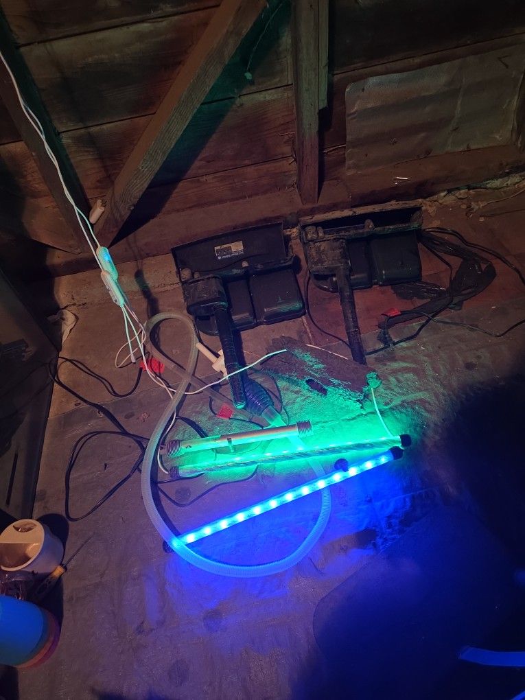 Aquarium Tank W /stand If Interested