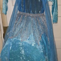 Princess Dress Costume 