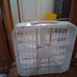 Fan