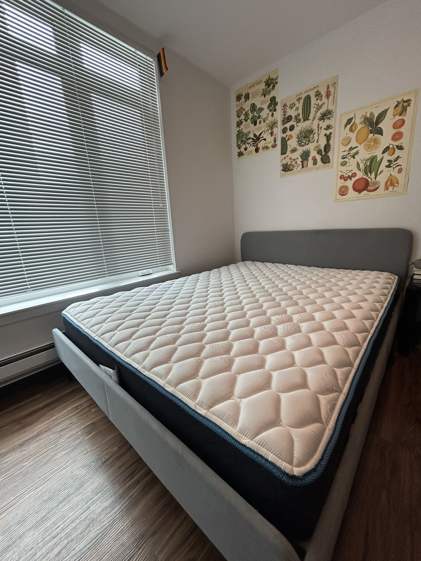 Queen Size Bed Frame and Mattress