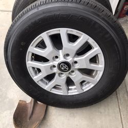 Tacoma 2024 Took Of  Wheels 