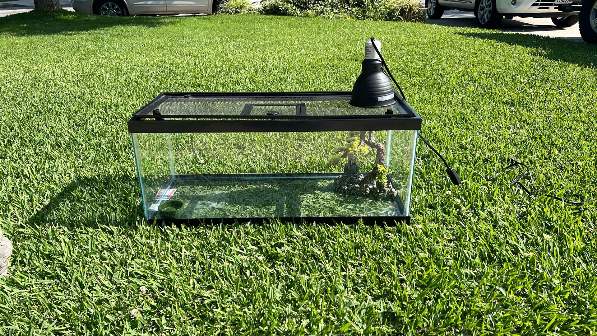 Reptile Terrarium