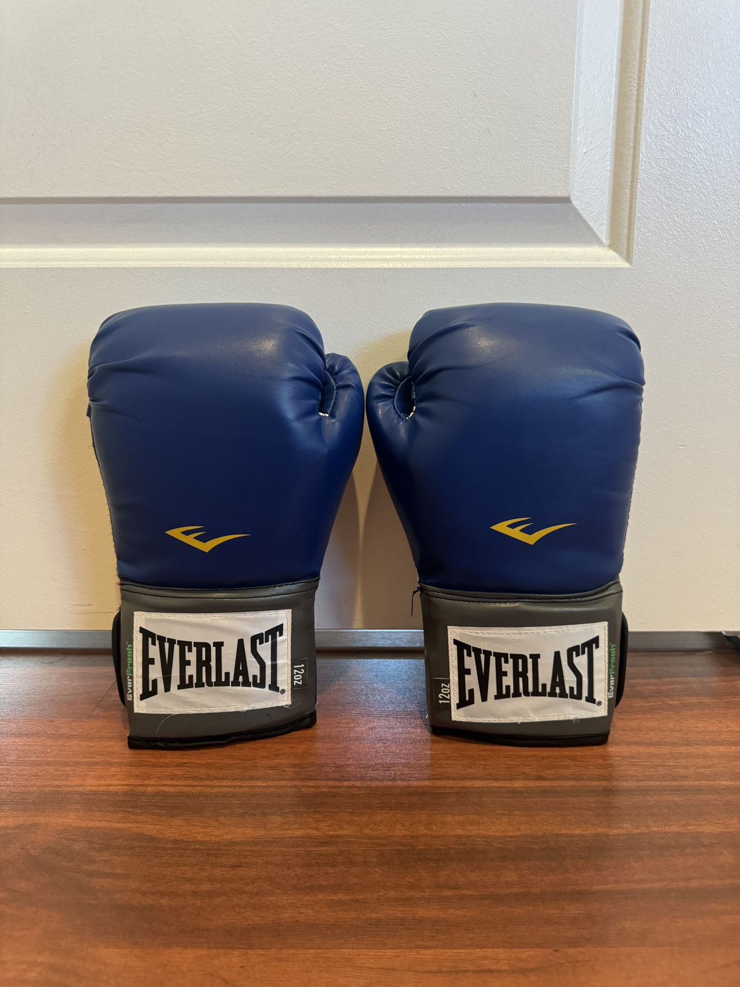 Everlast Boxing Gloves 12oz Blue