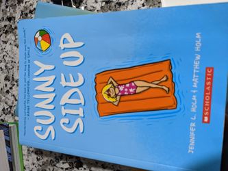 Sunny side up graphic novel brand new